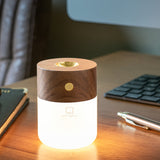 Smart Diffuser Lamp