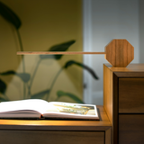 Octagon One Plus Portable Desk Lamp