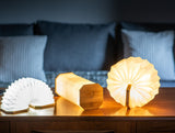 Smart Accordion Lamp